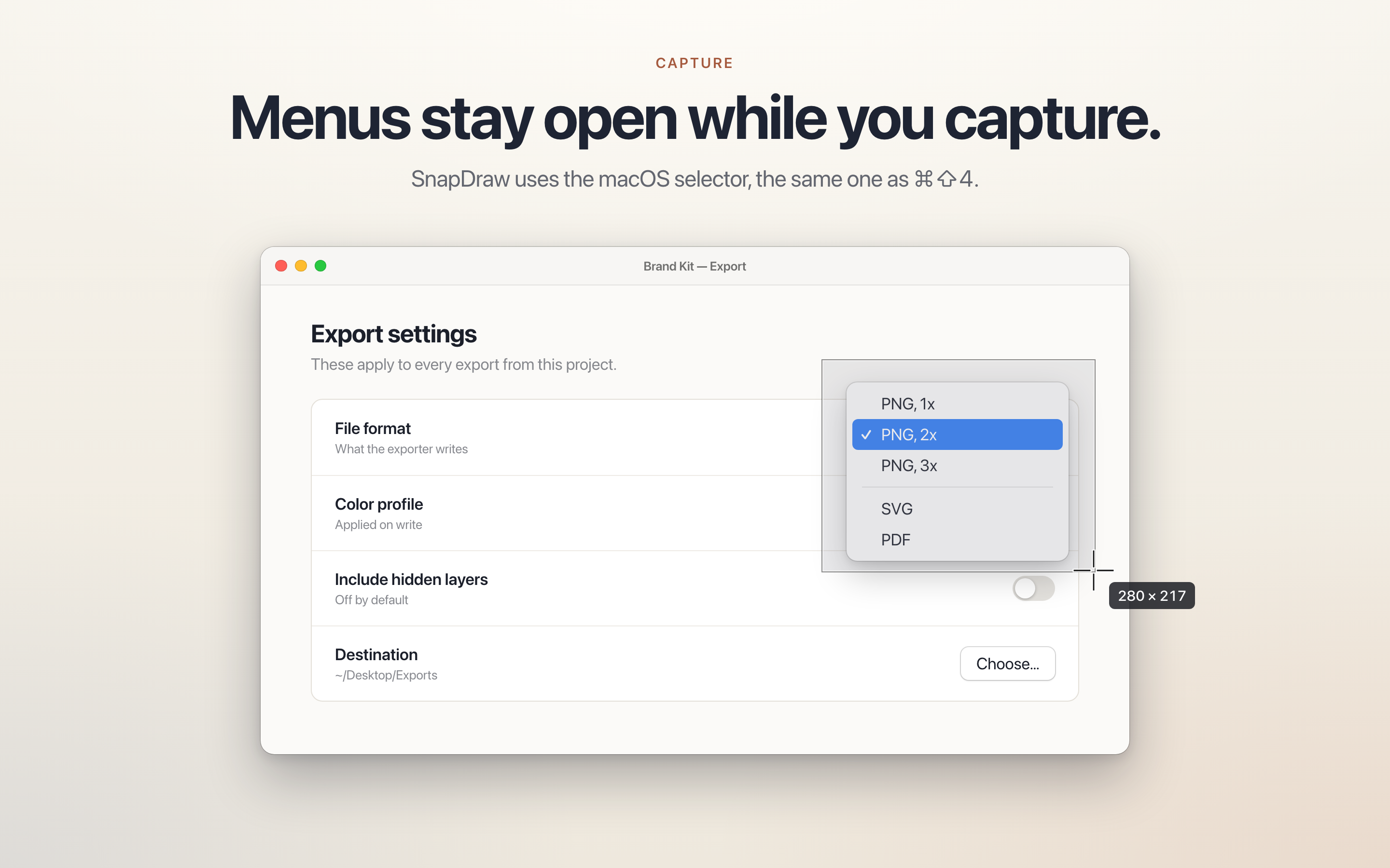 An open dropdown menu captured with the macOS selector, showing the selection size
